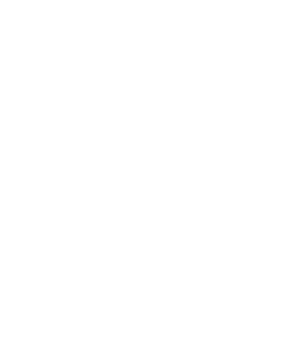WalliB